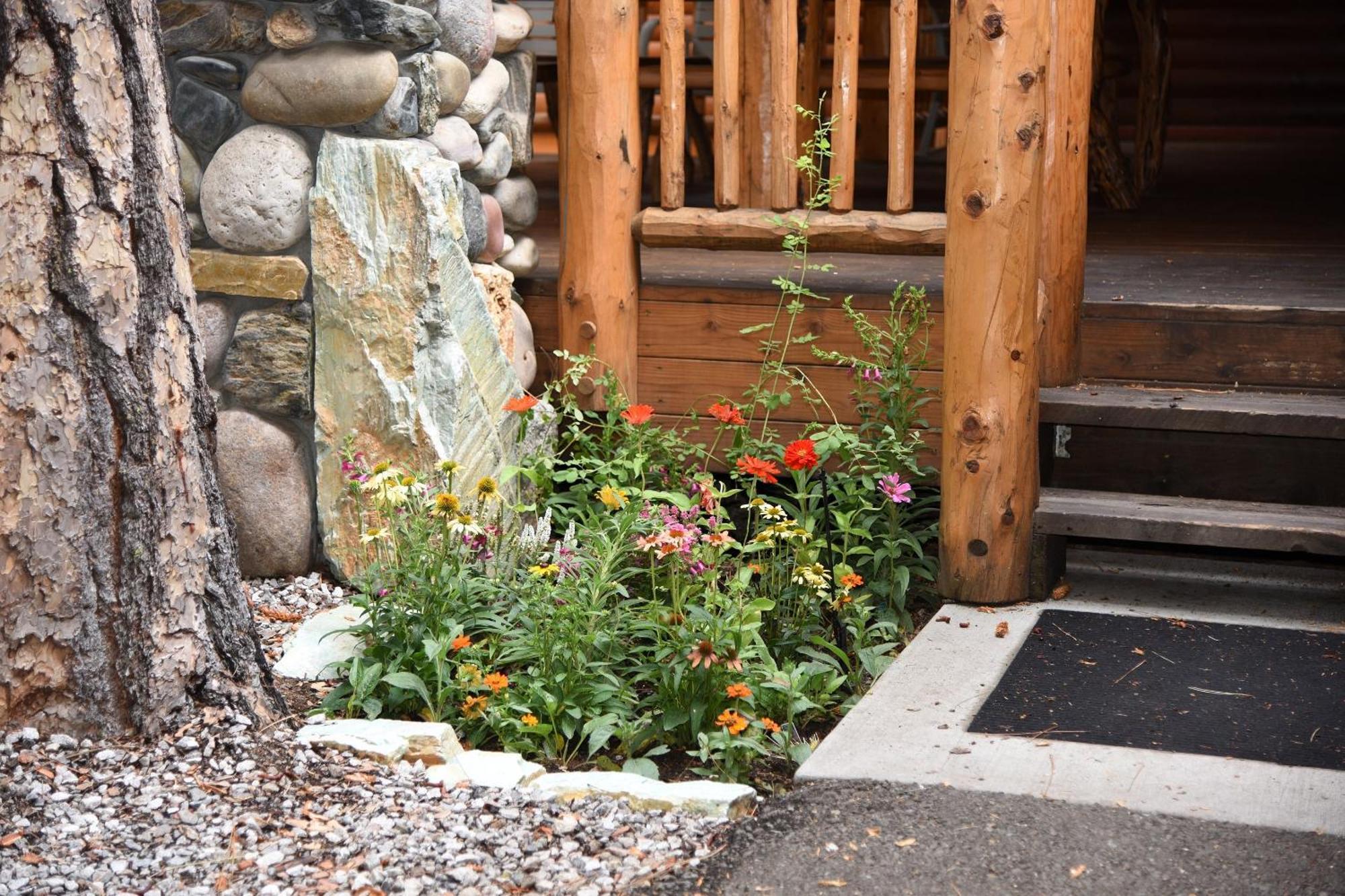 Grizzly Giant Villa Wawona Exterior photo